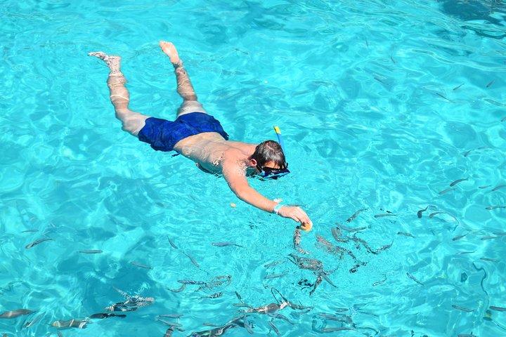 Comino Island: inklusive Blue Lagoon, Crystal Lagoon & sea caves
