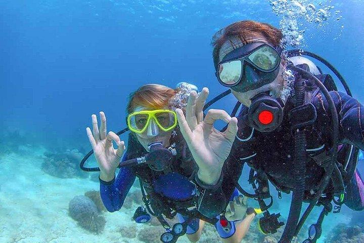 Discover Scuba experience at Las Caletas, Puerto Vallarta