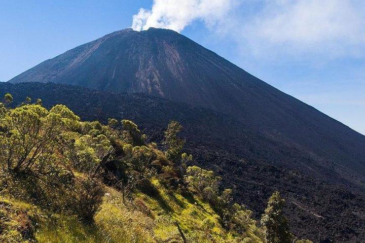 Pacaya Volcano Excursion fra Guatemala City
