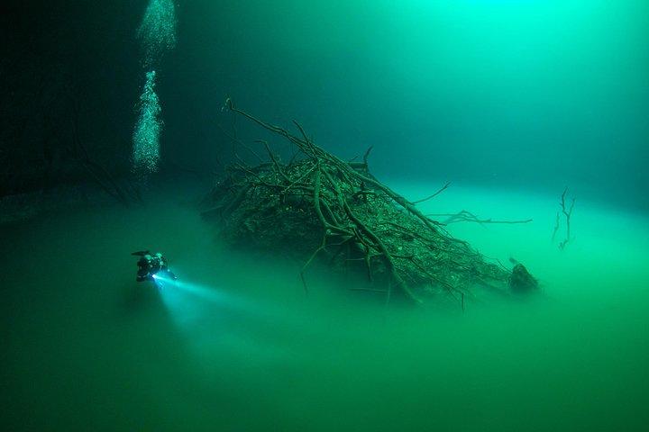 2 cenote-divings (inclusief een diepe duik) voor gevorderde duikers in Tulum