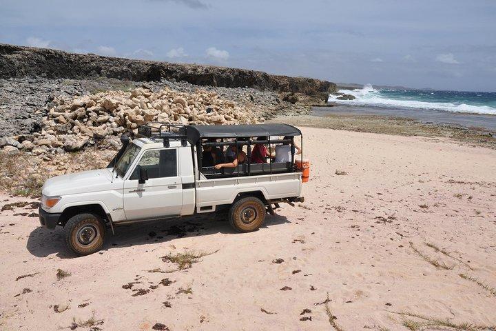 Safári de jipe no Parque Nacional