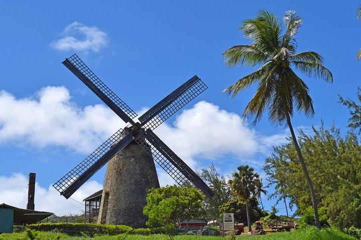 Hunte's Garden e tour dell'abbazia di San Nicola per piccoli gruppi Barbados