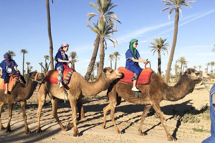 Passeio de camelo em Marrakech
