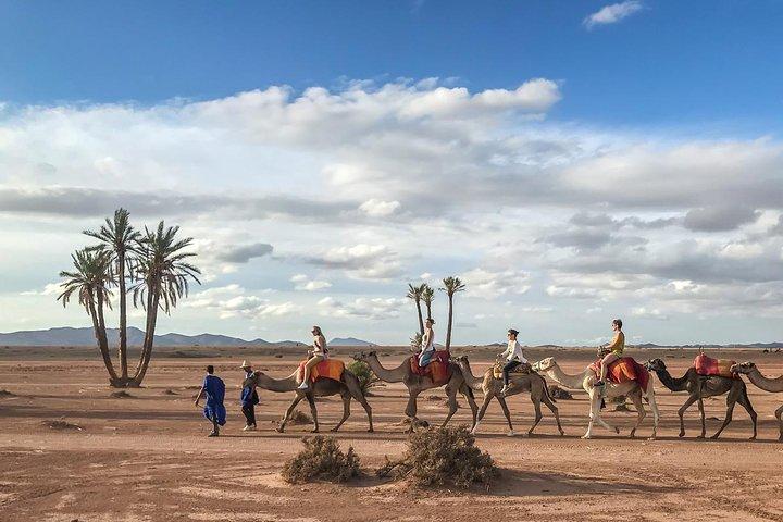 Camel Ride e Quad Bike in Palmeraie