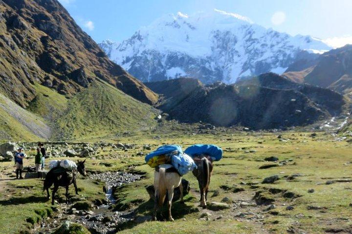 5 Días Salkantay Trek a Machu Picchu (servicio grupal)