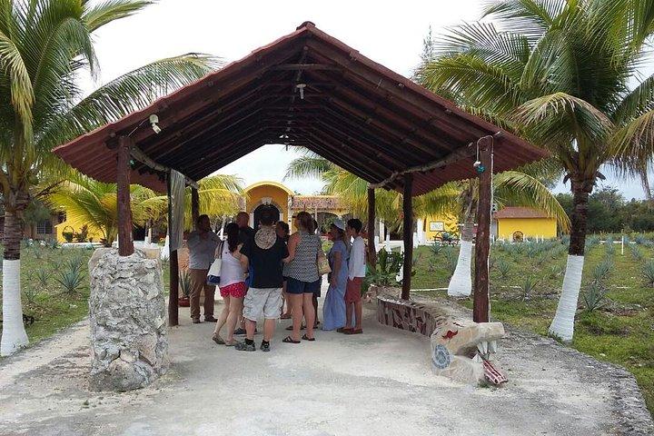 Excursion privée en jeep à Cozumel avec déjeuner et snorkeling