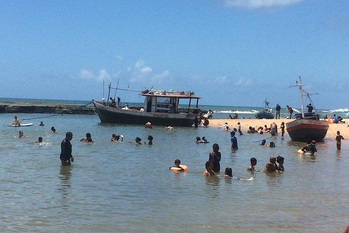 From Salvador to Praia do Forte Day trip get to know the coconut coast