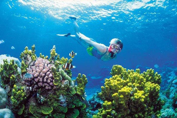 Snorkel、ATV、Zipline、Cenote Adventure from Cancun