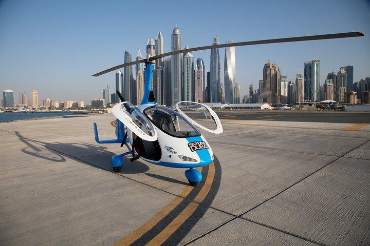 Gyrocopter The Palm
