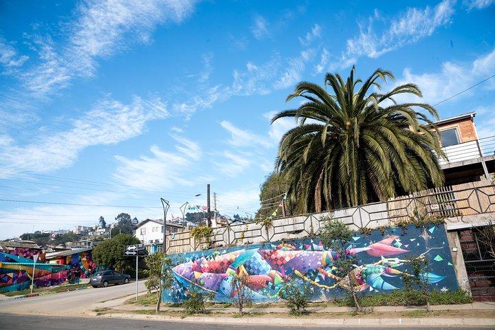 Porto de San Antonio, degustação de vinhos fora do caminho mais conhecido
