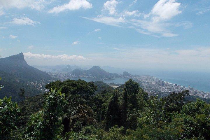 Tijuca Forest Jeep Tour
