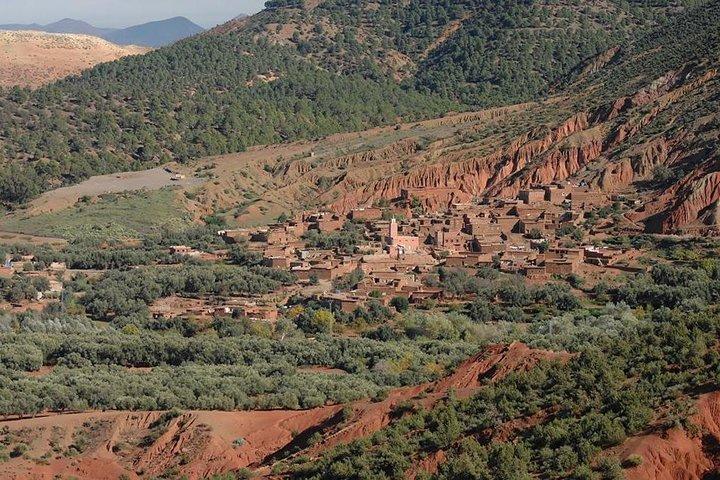 Private Day trip from Marrakech to Atlas Mountains