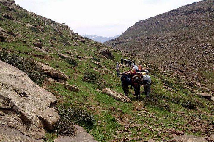 Private Day trip from Marrakech to Imlil & the atlas mountains
