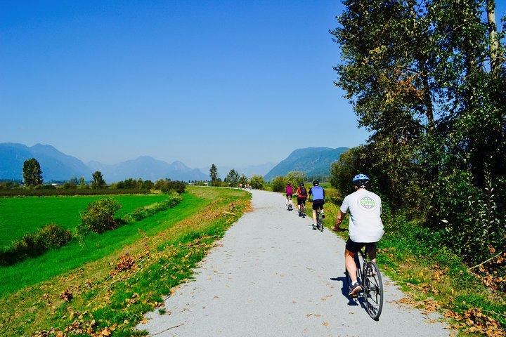 Tour in bicicletta ed escursionismo di Vancouver con pranzo incluso