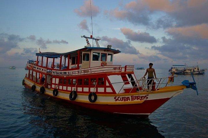 PADI Open Water Diver-cursus op Koh Samui