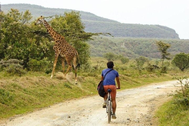 Nuit au parc national du mont Longonot et Hells Gate depuis Nairobi
