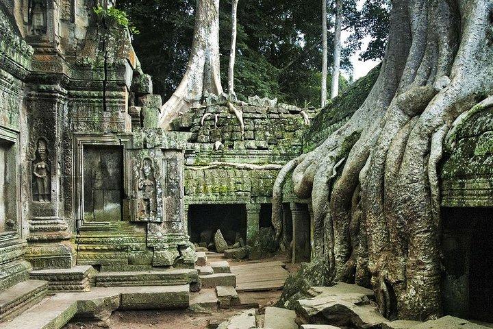 Angkor Wat, Angkor Thom Ancient Capital, Ta Promh Temple