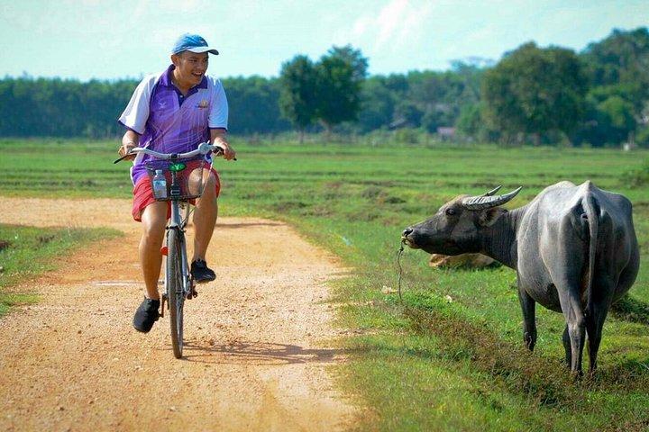 Excursion d'une journée à Koh Yao Noi avec balade à vélo et déjeuner