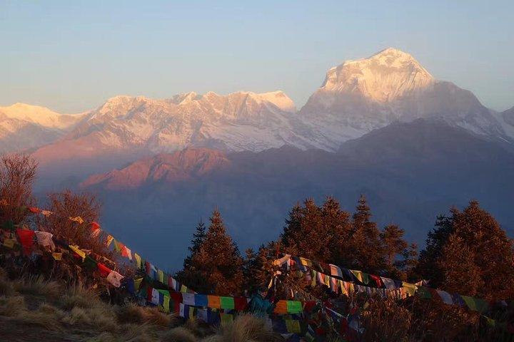 Poon Hill Trek - 04 Tage