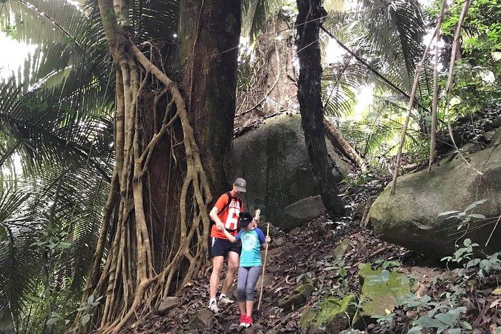 非観光地でのプライベートハイキング3時間