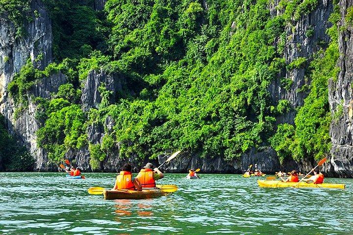 Halong Bay och Lan Ha Bay från Cat Ba Island: Cruise and Kayak Tour