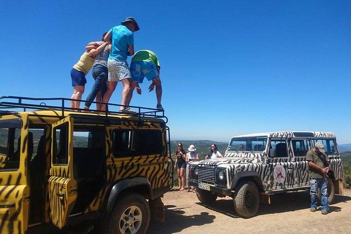 Excursion Safari en Jeep - Journée complète