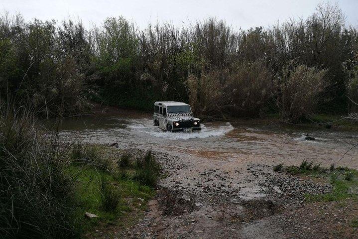 Excursion Safari en Jeep - Journée complète