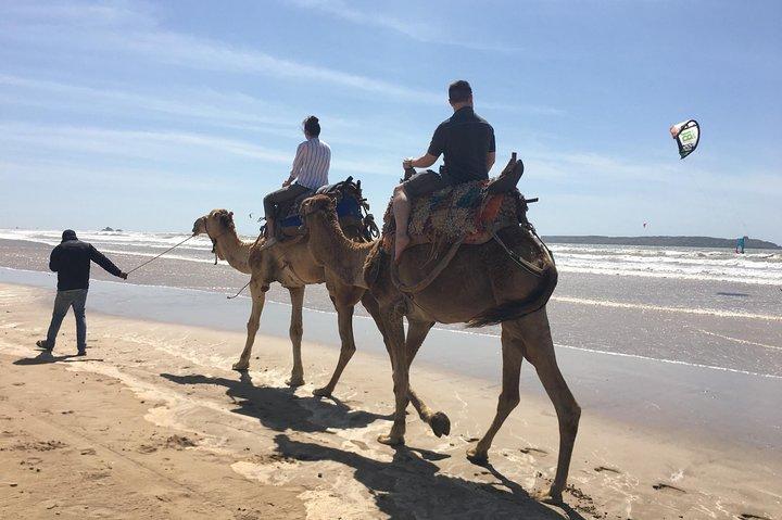 マラケシュからエッサウィラ モガドールへの 1 日旅行