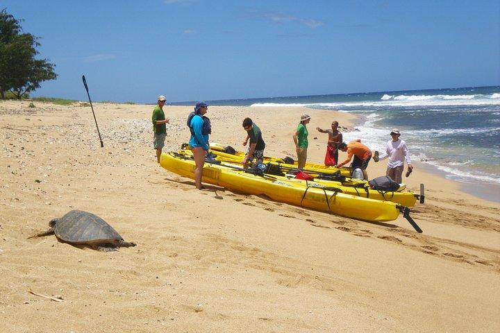 Kauai Sea Kayaking 10 milhas tour - Na Pali Iki (Polihale to Milolii)