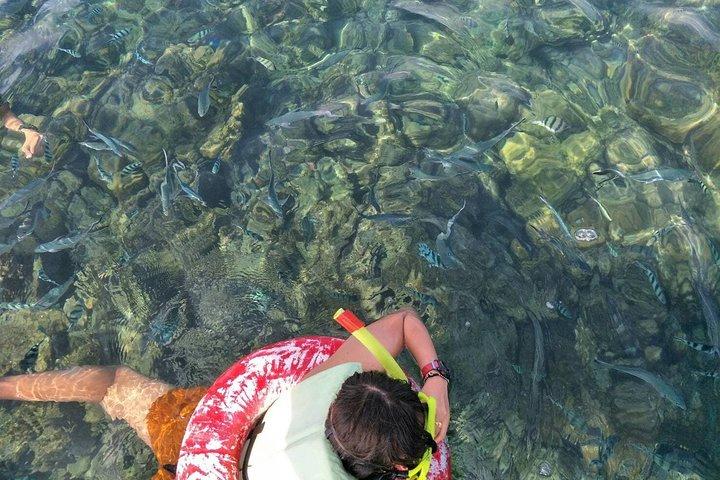 Plongée et kayak à Koh Samui