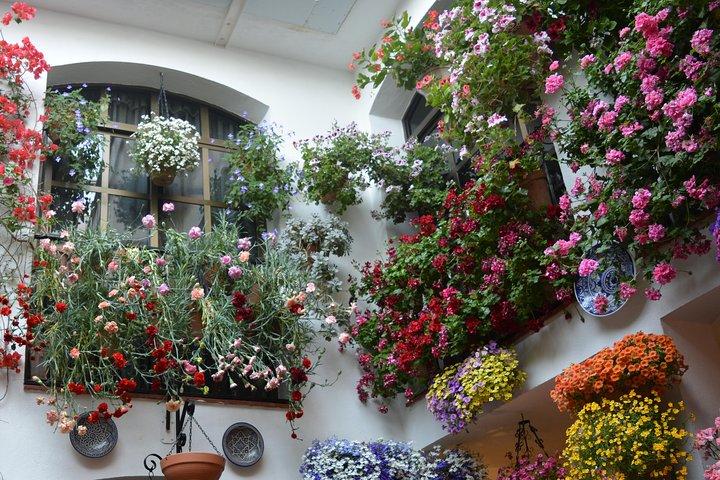 Patios & Perfums of Cordoba Festival Tour