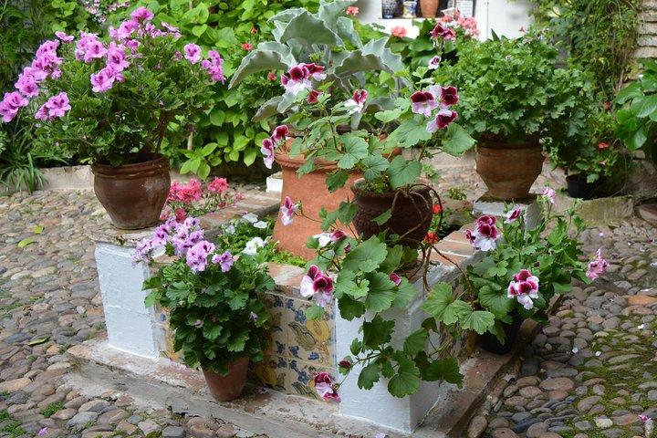 Patios & Perfums of Cordoba Festival Tour