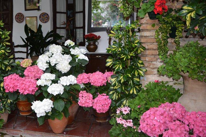 Patios & Perfums of Cordoba Festival Tour