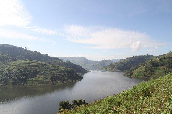 3-tägige Gorilla-Trekkingtour
