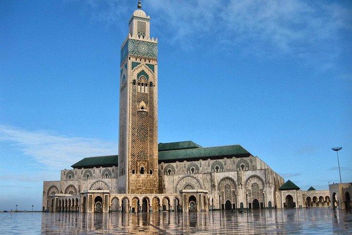 Casablanca To Marrakech Private Exotische Tagesausflug mit Kamelreiten