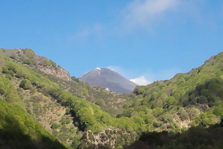 Bedste Sicilien i 1 Dag: Vulkanen Etna, Naxos Bay, Taormina og Castelmola