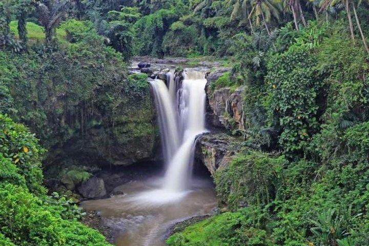 Ubud privat tur risfält tempel vattenfall.