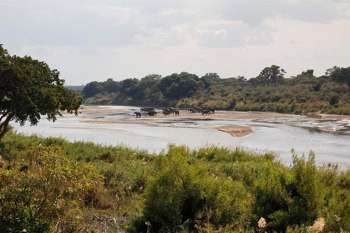 Day Safari in Kruger Park