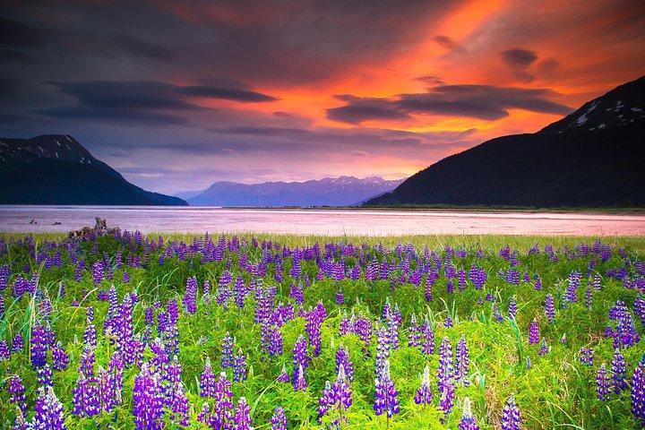 Giro del braccio di Turnagain
