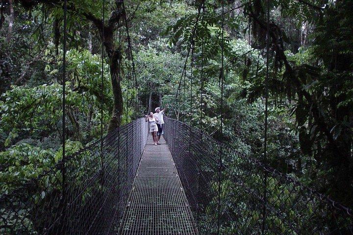 ハンギングブリッジ、フォルトゥナの滝、アレナル火山をハイキング。
