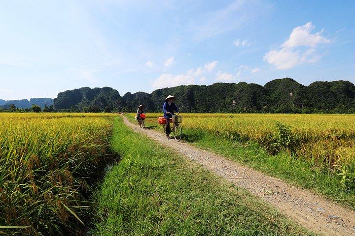 自然遺産、ビックドンパゴダ、サイクリングデイツアー