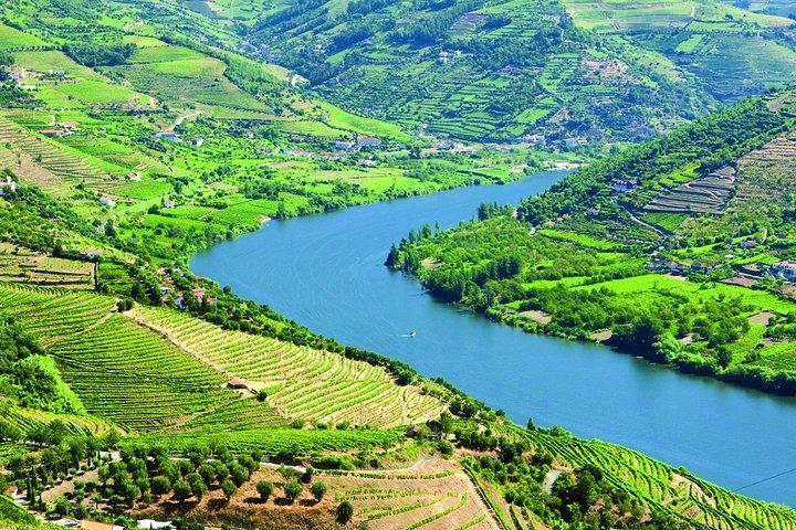 Douro Valley Kleine groepstour met twee wijnhuizen, lunch en boottocht