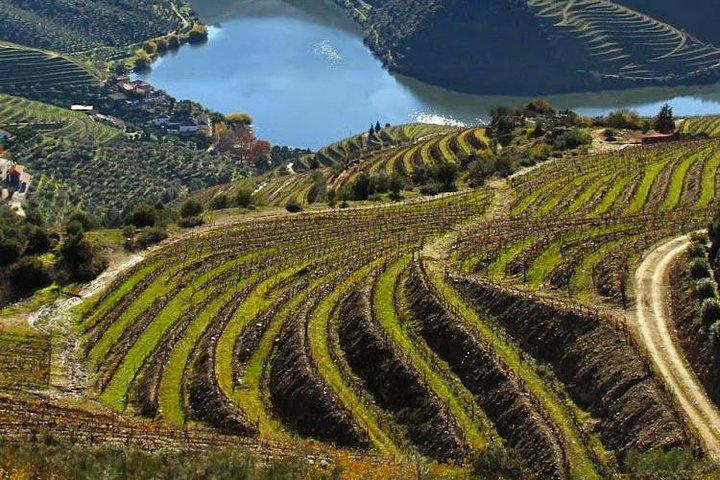 Douro Valley Private Wine Tour From Lisbon