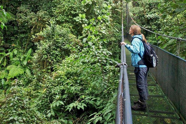 Pontes penduradas e reserva natural no vulcão Tenorio