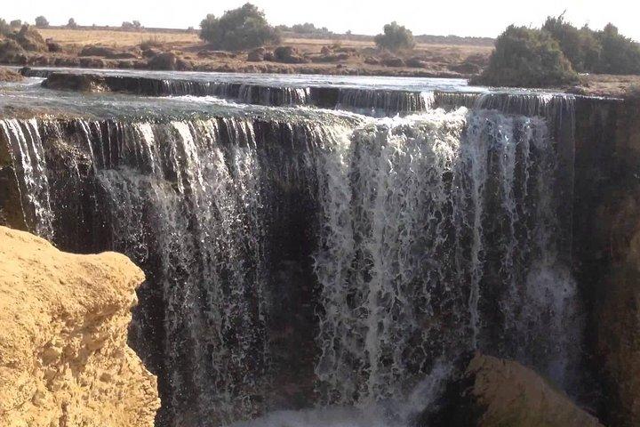 A day desert adventure from Cairo to Valley of the whales - Wadi Hitan - and Wadi Rayan