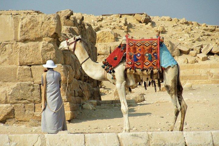 Quad & Camel Ride Combo Tour rond de piramides