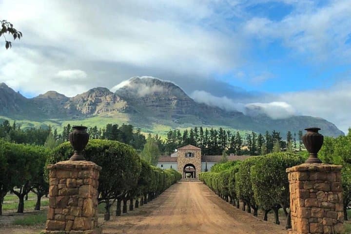 Wine, Beer & Biltong Safari - Private Tour
