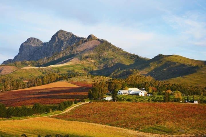Wine, Beer & Biltong Safari - Private Tour