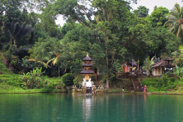 Clase de cocina tradicional balinesa con tour en Ubud