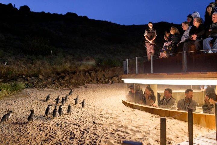 ペンギンパレードプレミアムビューを含むメルボルンからのプライベートフィリップ島の日帰り旅行